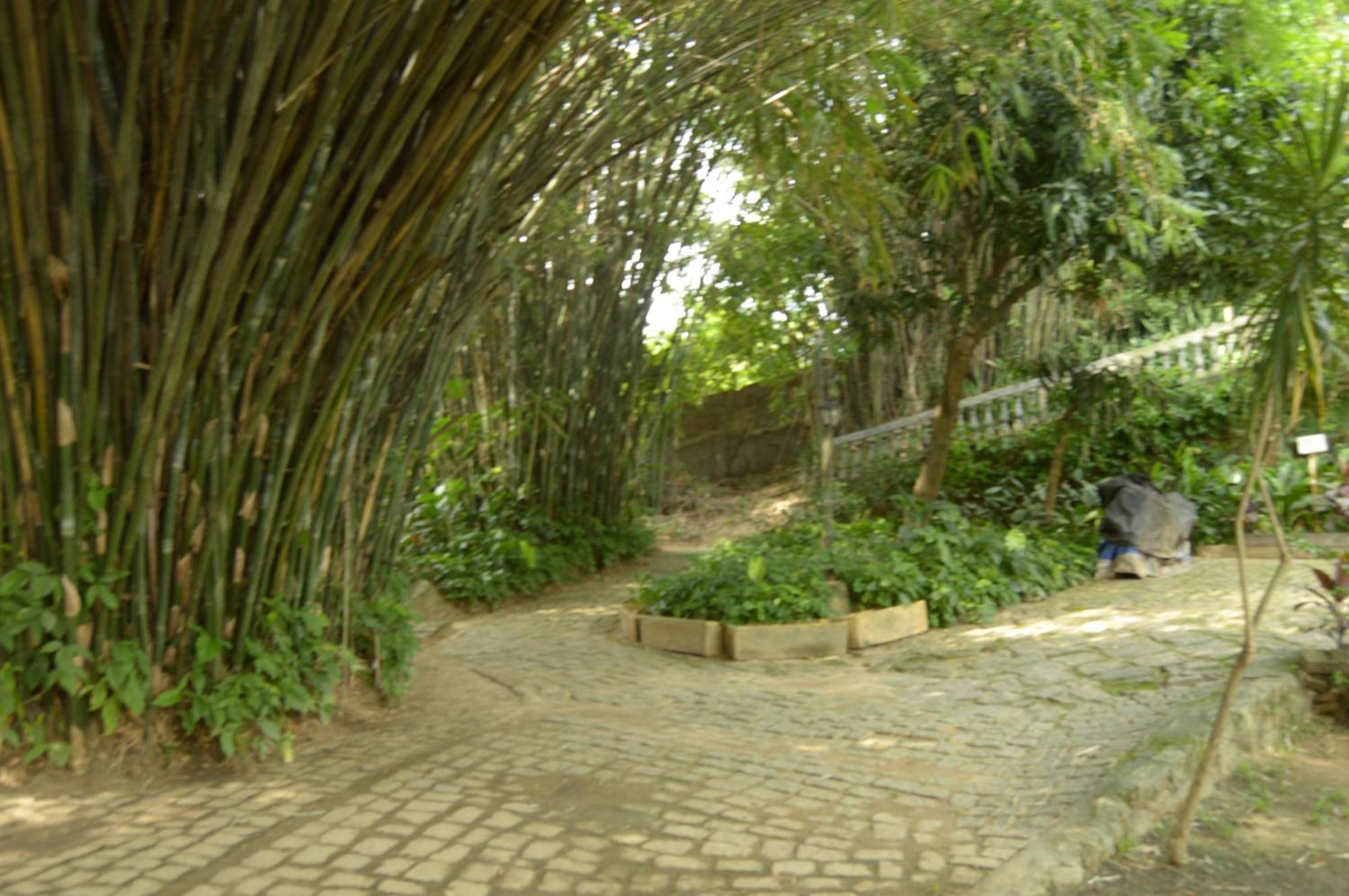 Rio Natureza Adaptado Apart 101 Rio de Janeiro Exterior photo